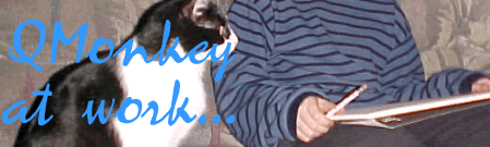 q monkey at work