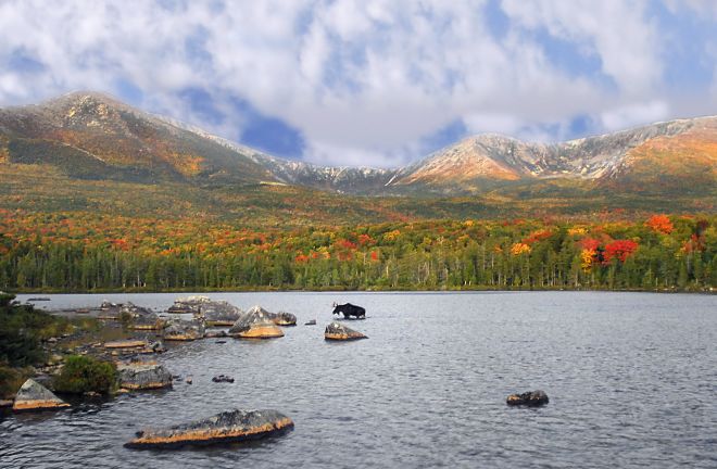 in the foreground is a pond with several large rocks along the lefthand shore, a moose visible just past these. at the far edge, the pond is ringed with a dense forest in fall colors, green dotted with oranges and yellows, and in the far background are the swells of mountains. the forest continues up the sides of the mountain, and there is visible snow on the highest ridges.