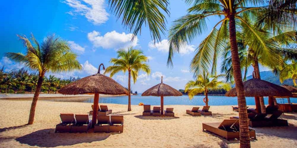 a sandy beach dotted with palm trees and lounge chairs under umbrellas that look like halved coconuts