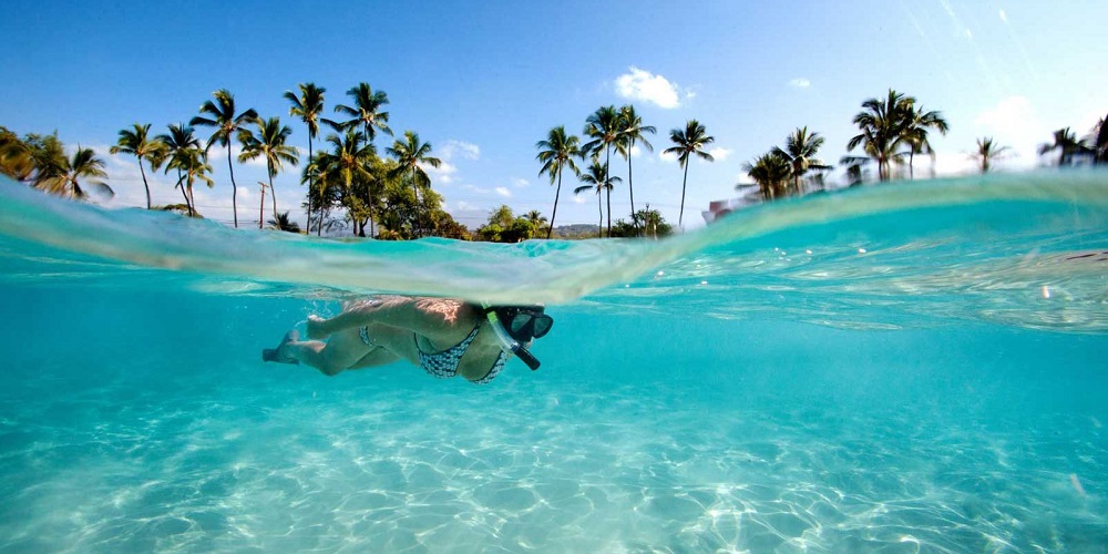 a partially underwater photo of a woman snorkelling showing the top edge of the water and a palm tree lined shore in the background